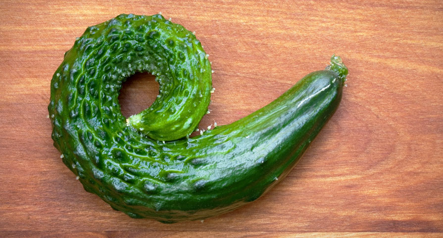 Circular cucumber