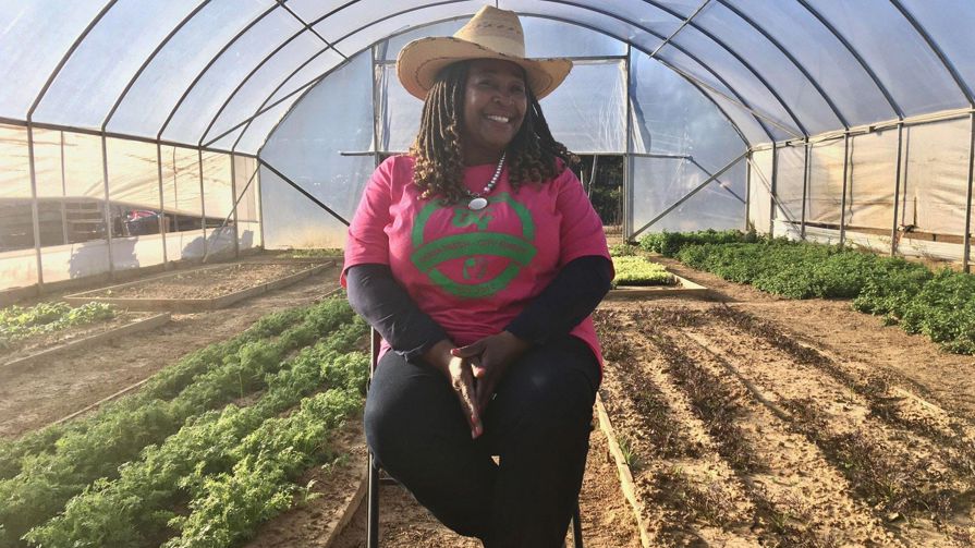 Cindy Ayres sat in a greenhouse