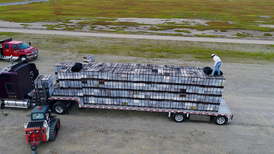 A truck transporting bees