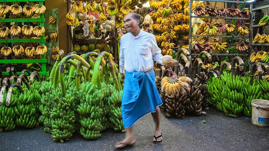 A banana shop in China displaying multiple local varieties