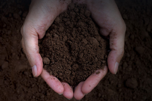 Food has the power to prevent and even treat diseases. James Wong meets the scientists growing new nutritious crops that could save lives.