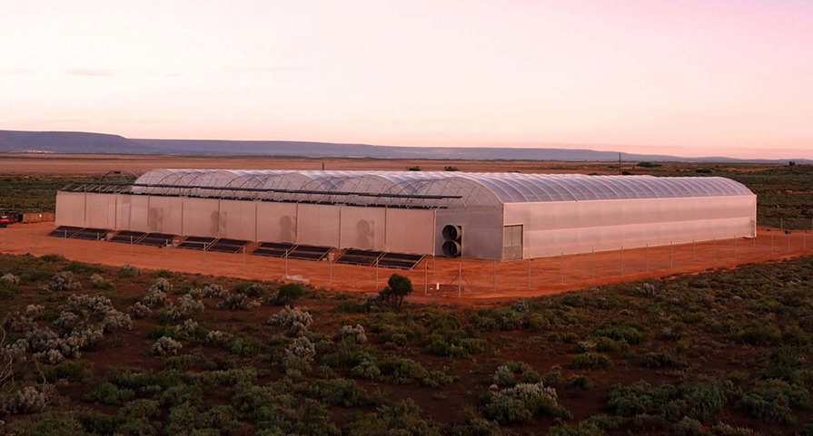 A seawater greenhouse in the desert