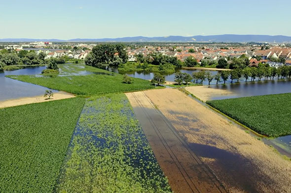 Image of fields from above