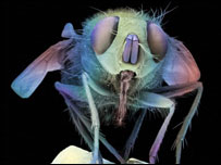 Imagem: Annie Cavanagh.