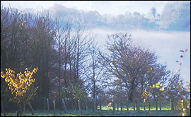 Misty country scene - Photo by  B.Morgan