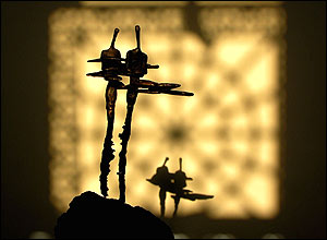 مازیار نیک خلق