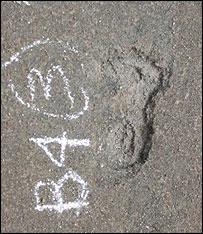 Pegada encontrada no México