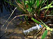 Cola ile ilaçlanmış bir tarla