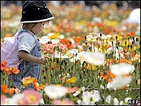 Trẻ em Nhật Bản