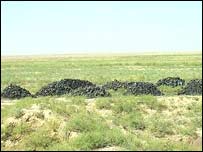 زمين غصب شده