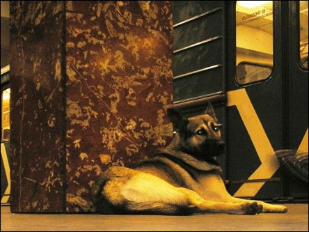 Фото Олега Таткова