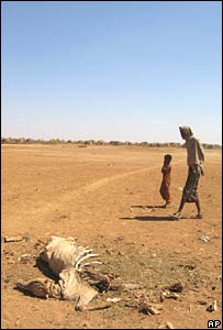 Etyopya'nın Denan bölgesi