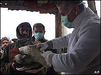 Gripe do frango no Iraque