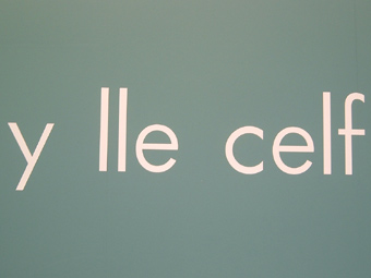 Mynediad yr Arddangosfa Gelf