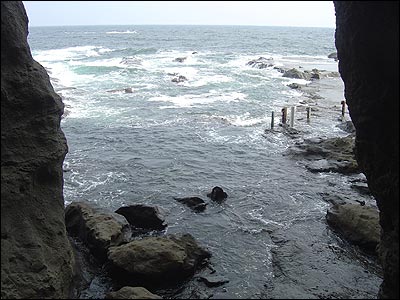 جزیره انوشیما ژاپن