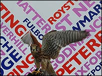 BBC Cambridgeshire logo and a hawk