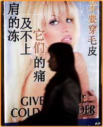 پالملا اندرسون