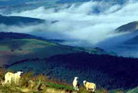 Y mynyddoedd cambrian ger Llanbrynmair