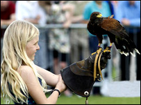 Bird of prey with girl