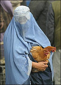 ترديد زن افغان در بازار مرغ فروشی