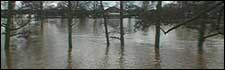 Flooding in Worcester