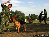 कुत्तों को मारते सैनिक