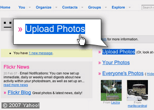 What's in this gallery