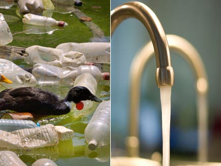 First half: Duck swimming in water filled with empty, dirty plastic bottles. Second half: Clean water from a tap.