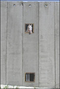 Grafite de Banksy na barreira israelense