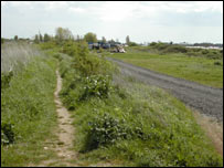 Choose the green path on the left