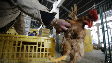 中國已經有四人死於H7N9禽流感病毒