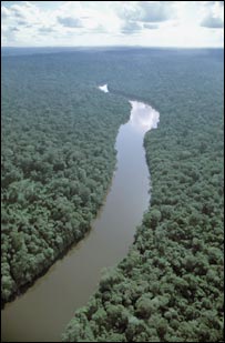 Foto: Haroldo Castro, CI