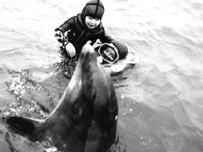 'Beaky' by Ken Dunstan