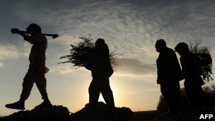 افغان ماشومان