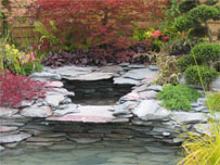 Water Garden display