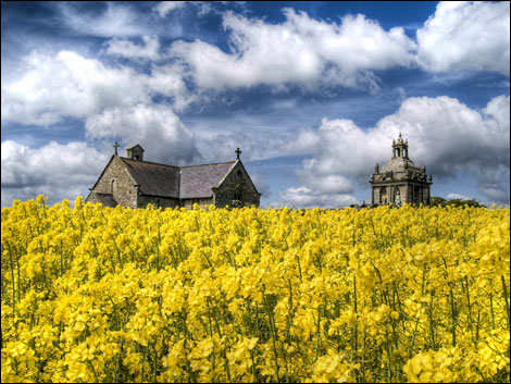 St Andrews Chapel and rapeseed. By Carole Jeffrey