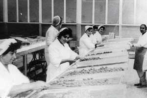 Workers at Meltis factory