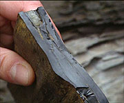 A sample of jet taken from the cliff