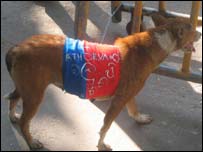 A scene of the protest (Photo Elmo Fernando)