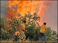 آتش سوزی در کوه پارنیتا - 28/6/2007