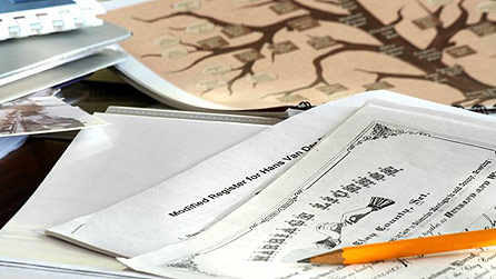 family tree - www.istockphoto.com