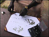 در قاره آفريقا توسط درآمد حاصل از تجارت غيرقانونی الماس تامين مالی می شود