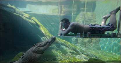 Crocosaurus Cove, Australia