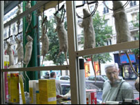 Foto: Daniela Fernandes