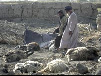 قندھار میں  تباہ گھر