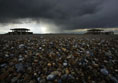 Ex MOD site, Orford Ness by Martin Beckett