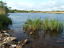 Llyn Cerrig Bach heddiw