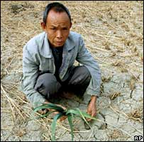 Fazendeiro chinês sofre com seca