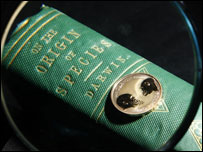 Türlerin Kökeni kitabı