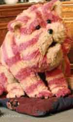 The sweetest cloth cat in the galaxy.